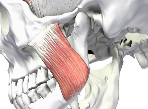 Orofacial Pain | Tulsa TMJ Orofacial Pain & Sleep Disorders Clinic